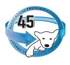 Freccia 45 su Facebook