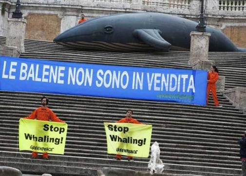 balene-greenpeace