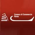 camera_di_commercio_roma