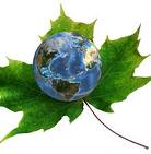 eco_compatibilit