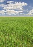 agricoltura_sostenibile