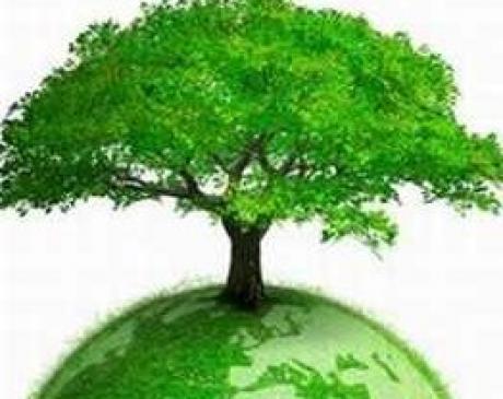 green economy
