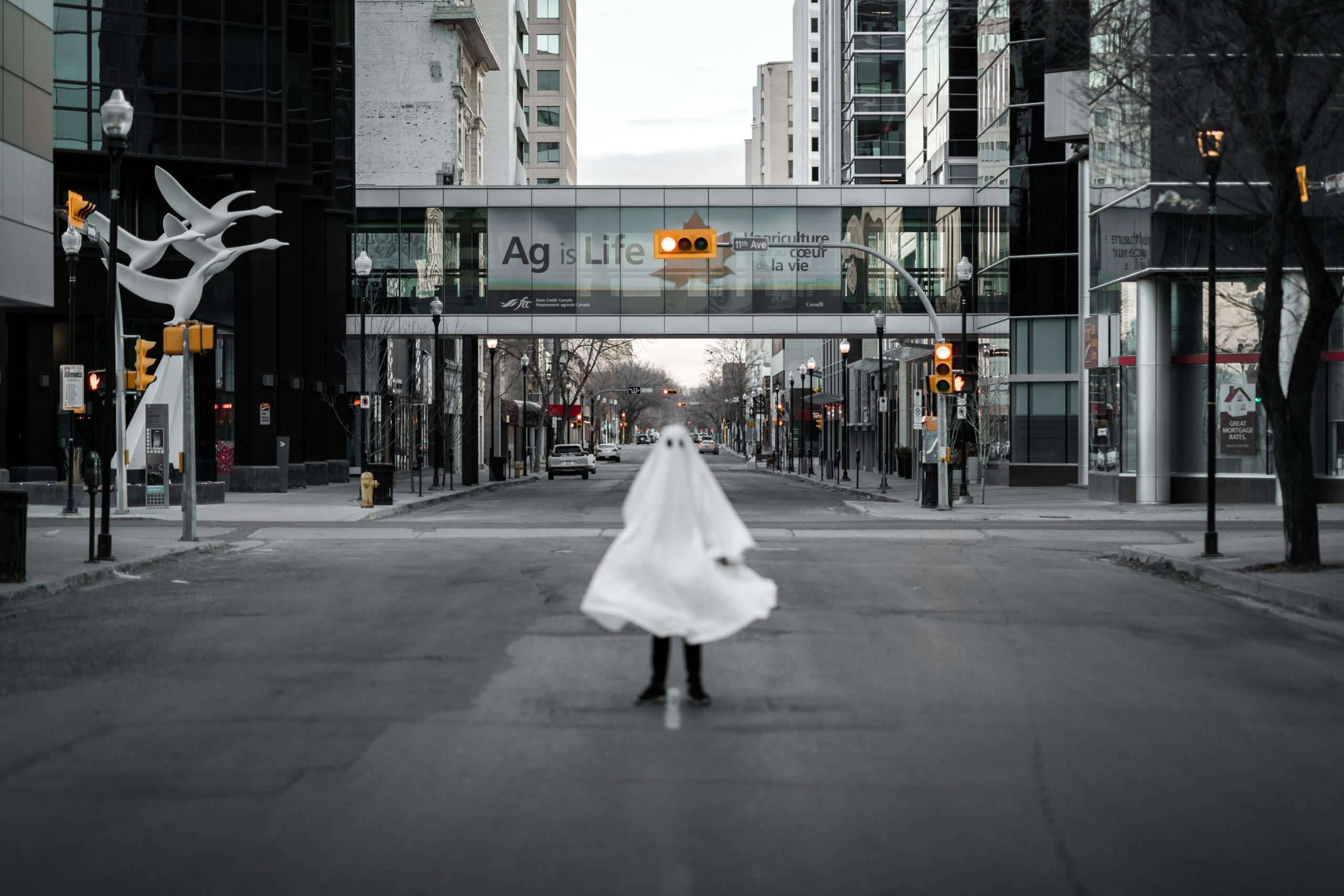 tandem x visuals qTH6iLzaP5o unsplash