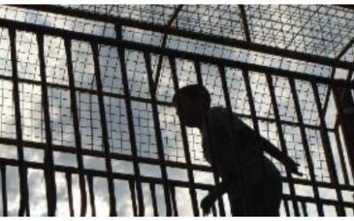 ACCERTARE LE RESPONSABILITA’ PER I SUICIDI IN CARCERE