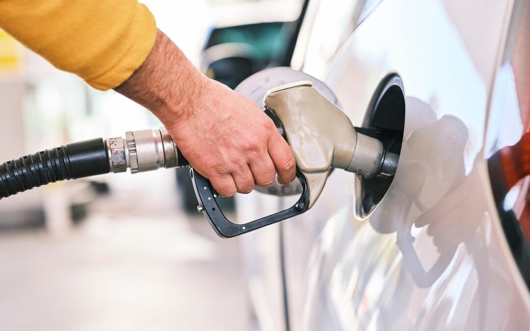 BENZINA: SVILUPPARE LE RICERCHE INDIPENDENTI E TUTELARE LE PERSONE