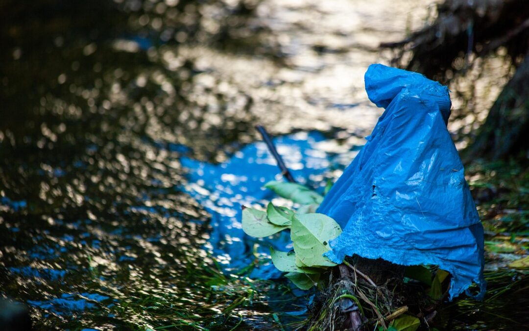 INQUINAMENTO DA PLASTICA IN CRESCITA IN ATTESA DELLE IMPROROGABILI MISURE DEL PRIMO E SECONDO PILASTRO
